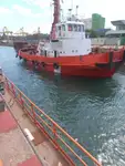 टोबोट बिक्री के लिए
