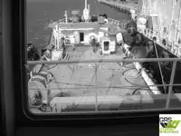 गोता समर्थन बेचने के लिए