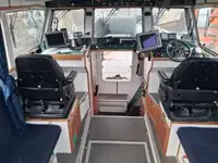 कैटामारन बिक्री के लिए