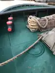टोबोट बिक्री के लिए