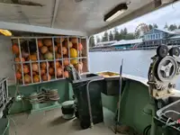 लॉन्गलाइनर बिक्री के लिए