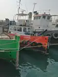 टोबोट बिक्री के लिए