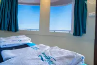 डाइव सपोर्ट बिक्री के लिए