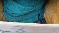 ट्रॉलर बिक्री के लिए