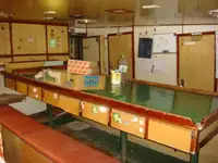 लॉन्गलाइनर बिक्री के लिए
