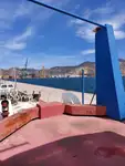 टोबोट बिक्री के लिए