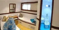 डाइव सपोर्ट बिक्री के लिए