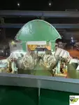 रो-रो जहाज बिक्री के लिए