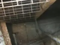 टोबोट बिक्री के लिए