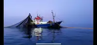 Trawler बेचने के लिए