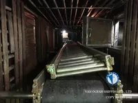 स्क्विड जिगर बिक्री के लिए
