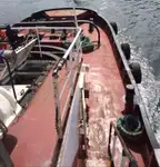 टोबोट बिक्री के लिए