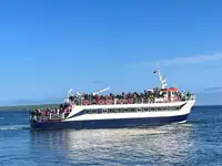 सवारी जहाज़ बेचने के लिए