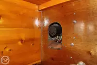 मछली प्रसंस्करण पोत बिक्री के लिए