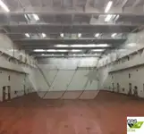 रो-रो जहाज बिक्री के लिए