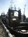 टोबोट बिक्री के लिए