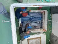 ट्रॉलर बिक्री के लिए