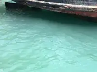 टोबोट बिक्री के लिए