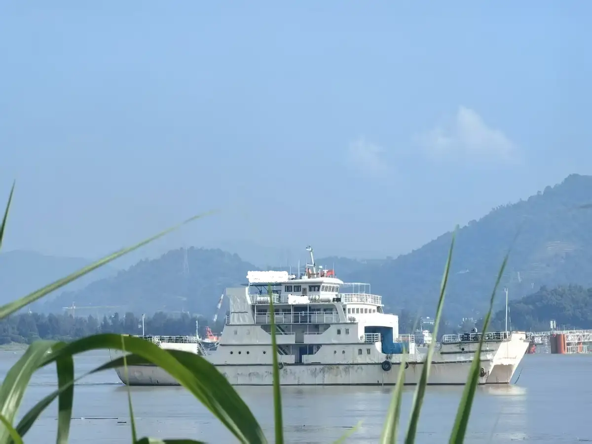 कटमरैन बेचने के लिए