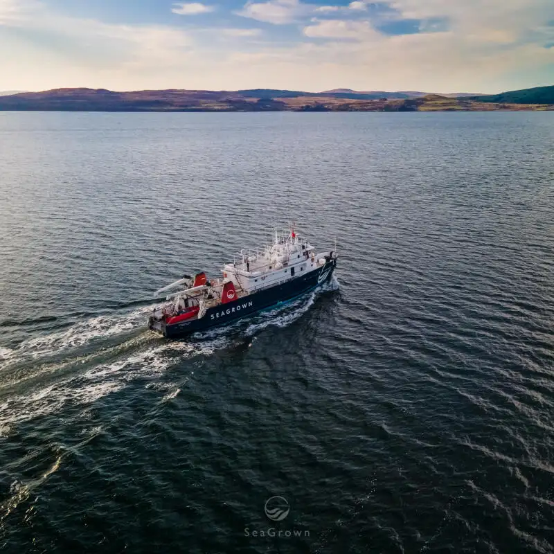 सर्वेक्षण पोत बेचने के लिए