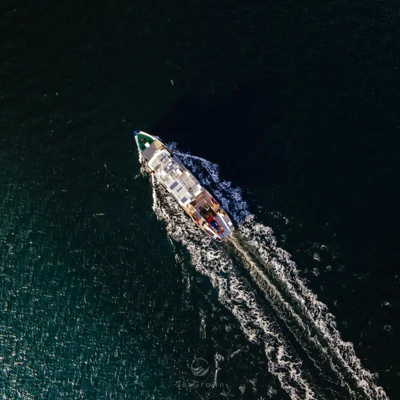 सर्वेक्षण पोत बेचने के लिए