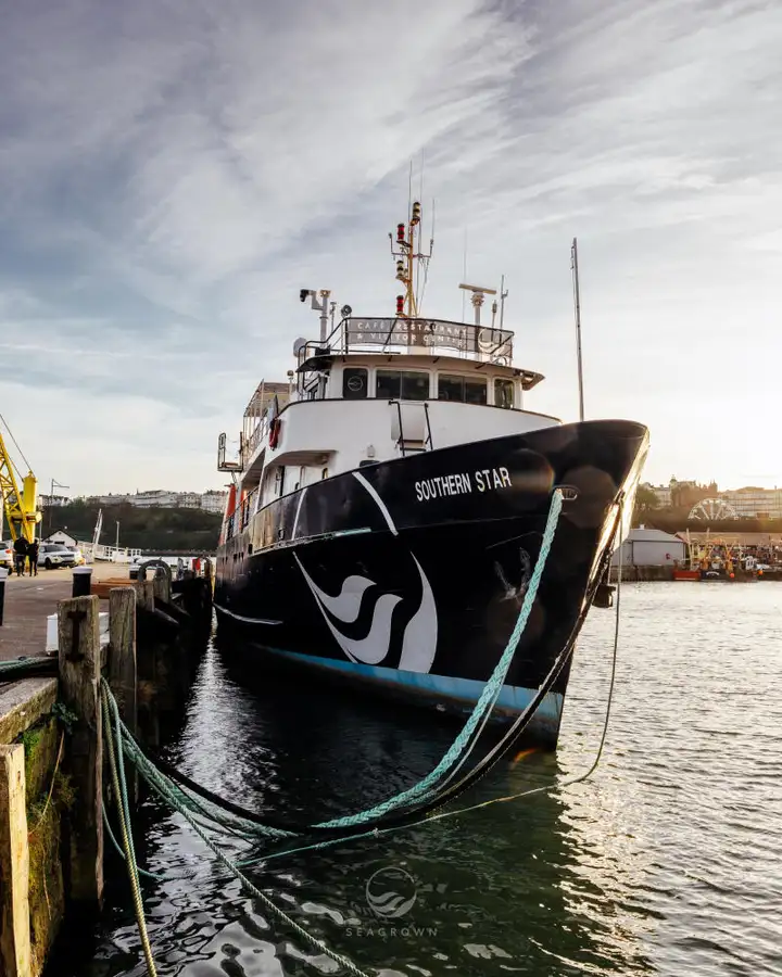 सर्वेक्षण पोत बेचने के लिए