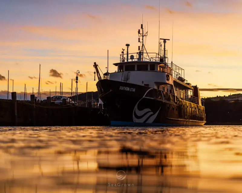 सर्वेक्षण पोत बेचने के लिए