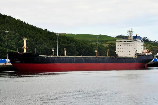 Bulk carrier for sale