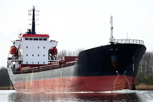 Bulk carrier for sale