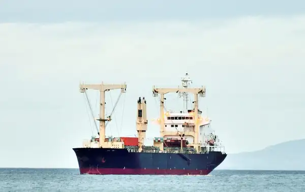 Bulk carrier for sale