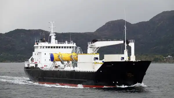 Reefer ship for sale