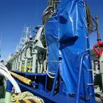 मछली पकड़नेवाला जहाज़ बेचने के लिए