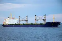 थोक वाहक बेचने के लिए