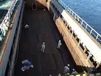 थोक वाहक बेचने के लिए