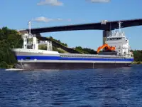 थोक वाहक बेचने के लिए