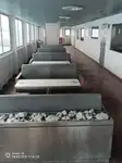 रोपैक्स जहाज बेचने के लिए