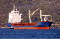 थोक वाहक बेचने के लिए