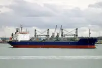 थोक वाहक बेचने के लिए