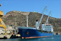 थोक वाहक बेचने के लिए