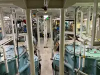 टोबोट बेचने के लिए
