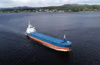 थोक वाहक बेचने के लिए