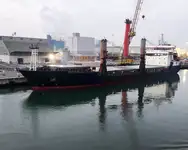 थोक वाहक बेचने के लिए