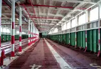 रोरो जहाज बेचने के लिए